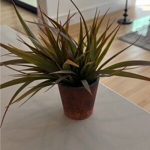 Michaels Faux Green and Brown Grass Plant